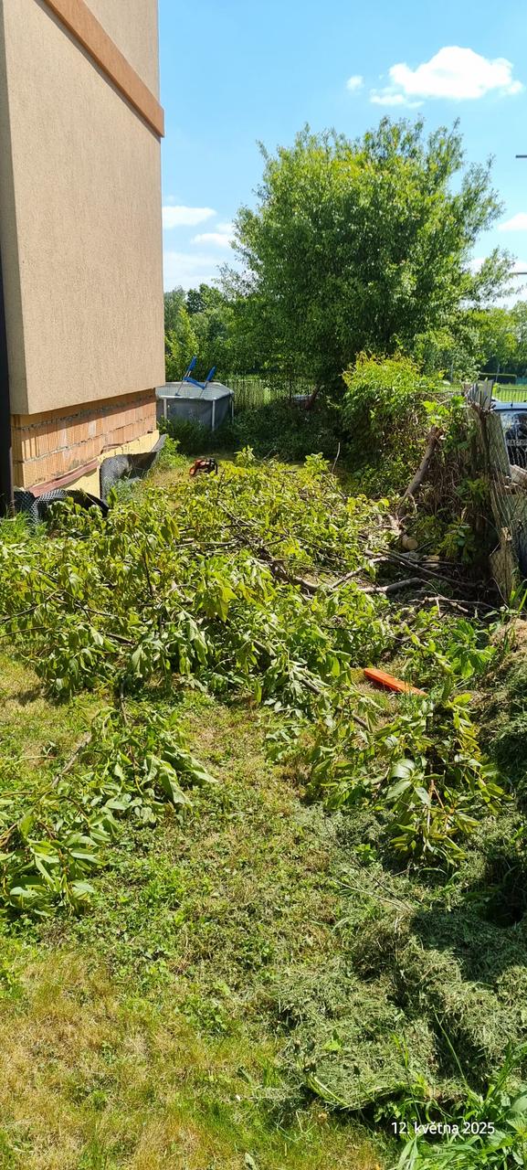 Zarostlý pozemek s pokácenými větvemi u domu – před