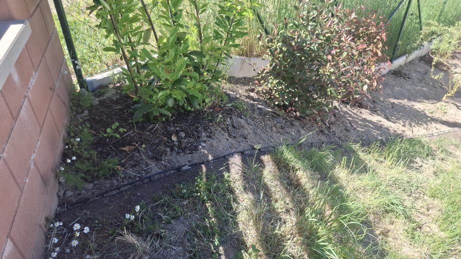 Mladé keře u rohu domu – Drobná řemesla