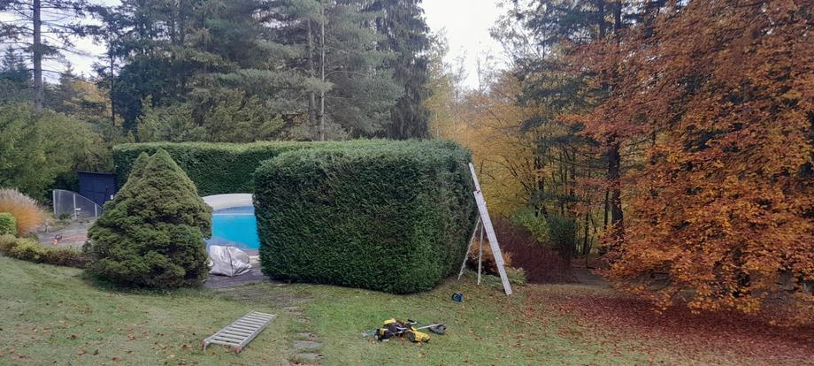 Stříhání přerostlého živého plotu – Drobná řemesla